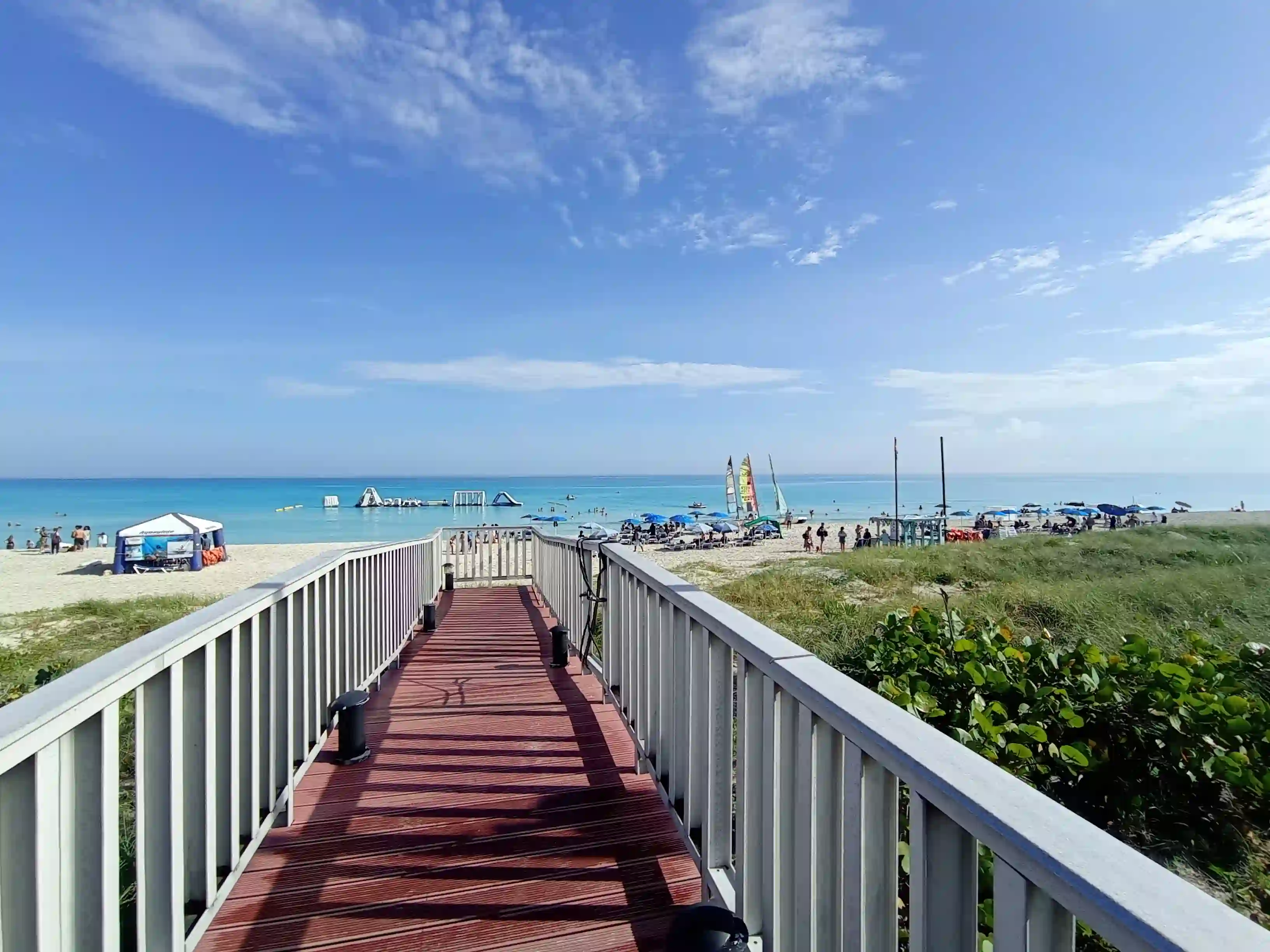 Palmeras y brisa del mar